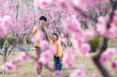 【40代から始める日本人の中國生活の記録】花を愛する中國の人々.jpg