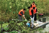 ＜動畫＞生態(tài)保護理念の実踐によって美しく生まれ変わった巣湖一帯の濕地.jpg